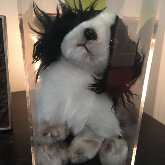 Frolic the Springer spaniel. - Picture 2 of 2